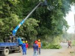 PLN ULP MUara Beliti PLN ULP Muara Beliti