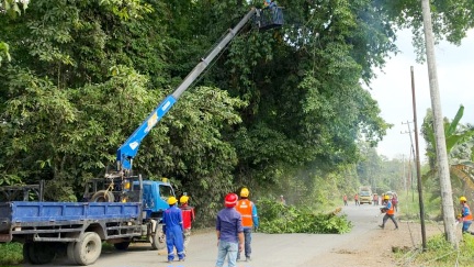 PLN ULP Muara Beliti