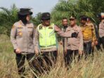 Cek Karhutla