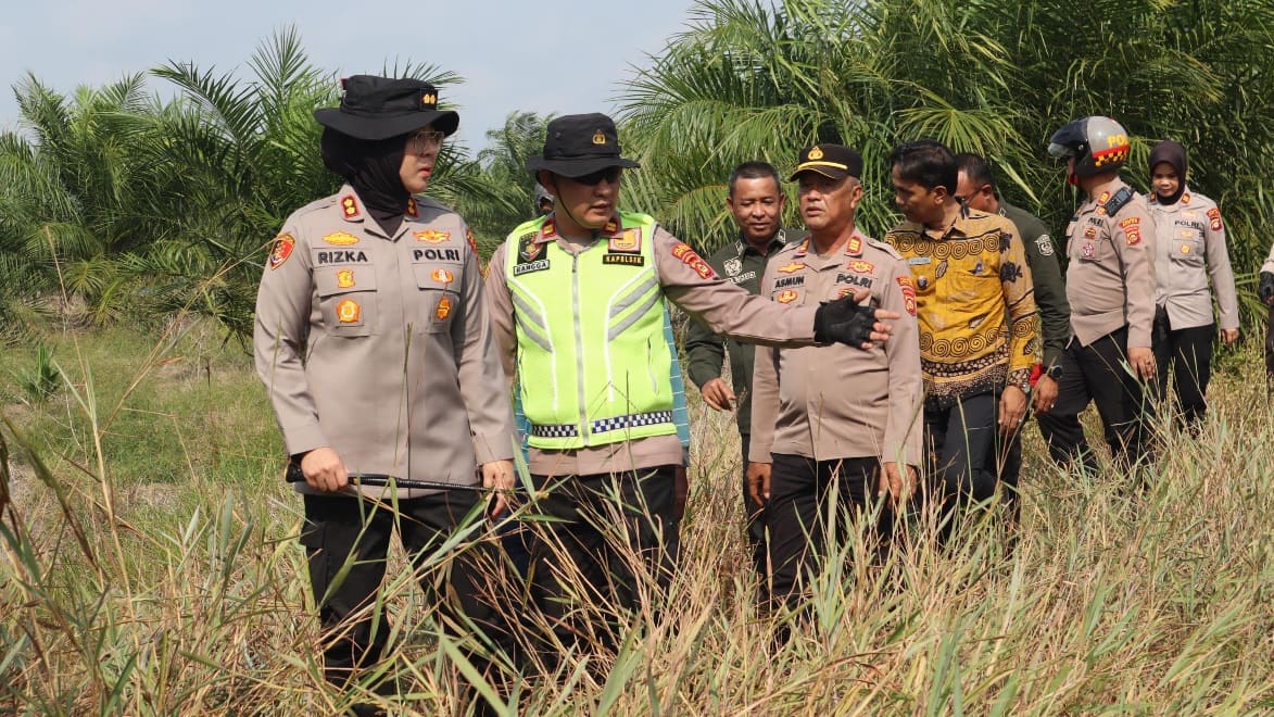 Cek Karhutla