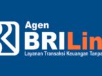BRILink
