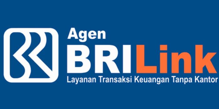 BRILink