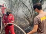 Kebakaran Lahan Kebakaran Lahan