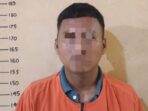 Persetubuhan Anak
