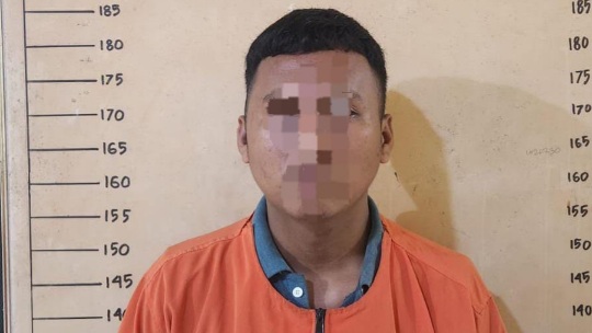 Persetubuhan Anak