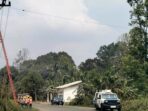 PLN ULP Muara Beliti PLN ULP Muara Beliti