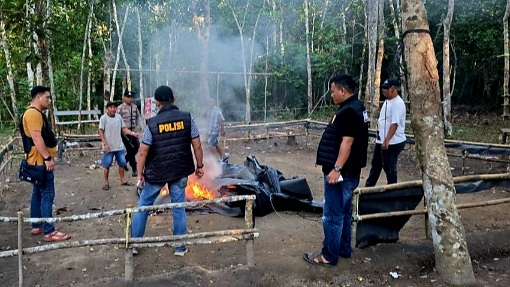 Sabung Ayam
