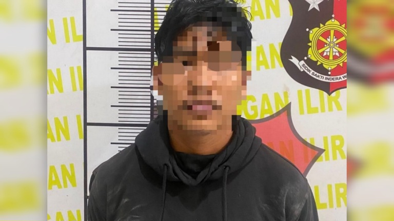Pelaku Pencurian